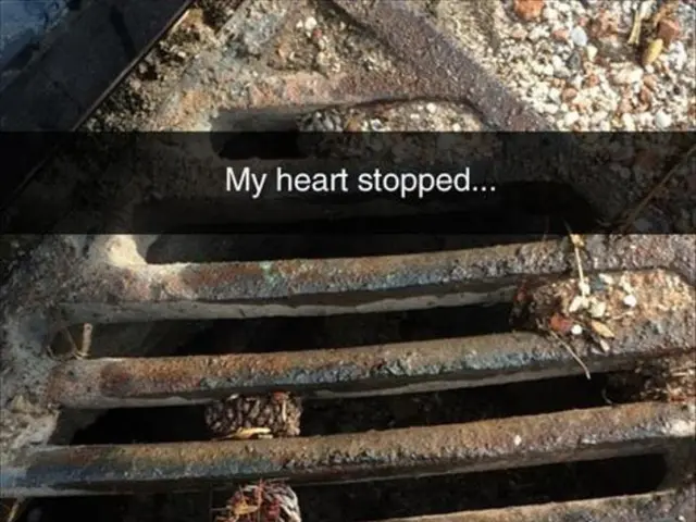 Guide for surviving the 60-day grace period after H-1B visa termination