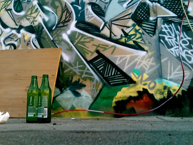 In the image we can see there are two wine bottles kept on the road.