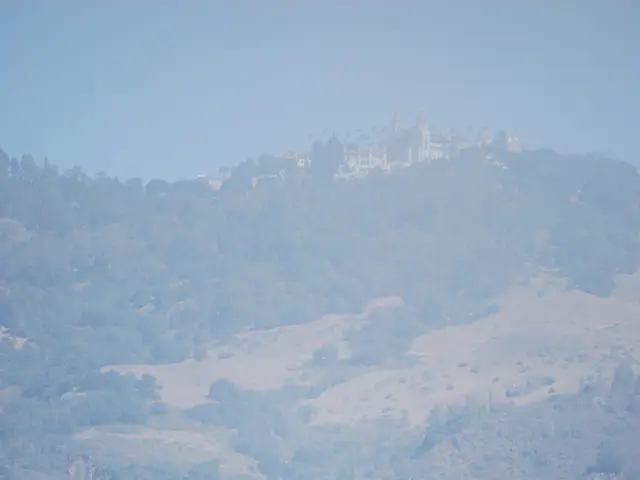 In this image there is a field, in that field there are horses, around the field there is fencing,...