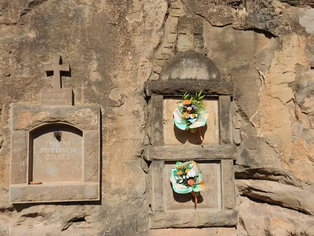 In this image I can see memorials carved on the wall. Also there are flower bouquets.