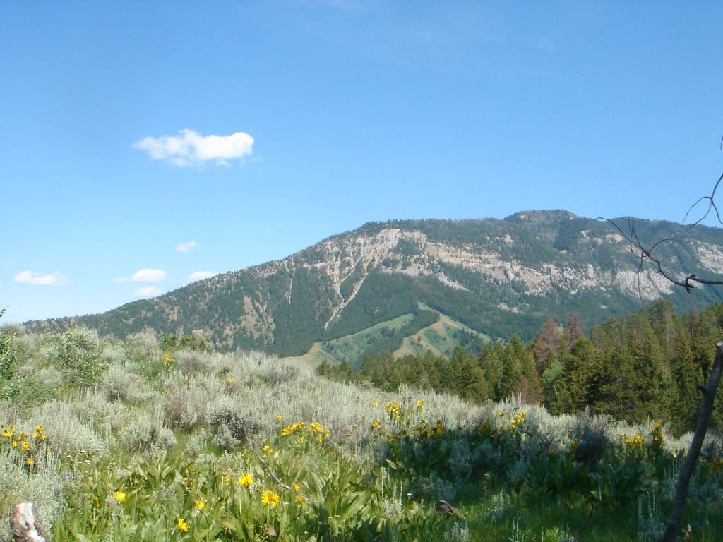 In North Rhine-Westphalia's Brühl, an abundance of recreational pursuits awaits. Nature enthusiasts...