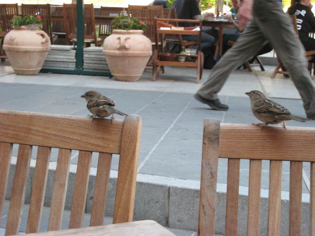 Wellness Specialists Offer Insightful Tricks for Navigating Journeys