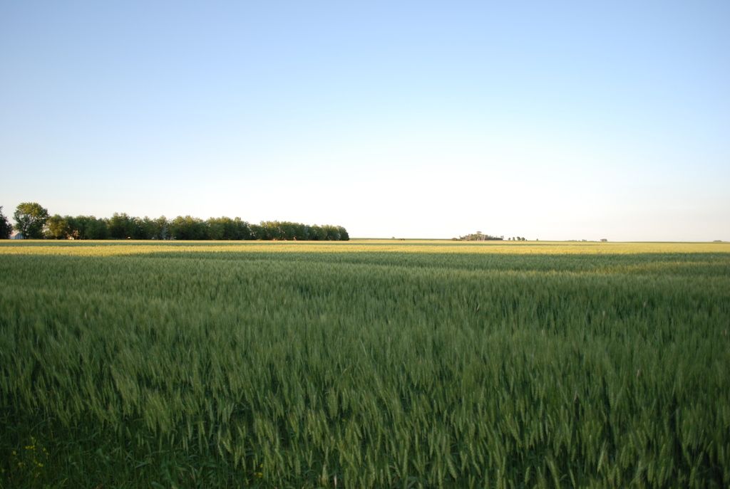 Exploring Killarney National Park: Suggestions for a Memorable Journey