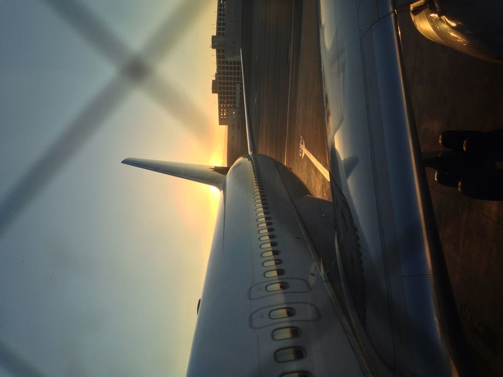 Critique of Air New Zealand's Skycouch: A User's Perspective