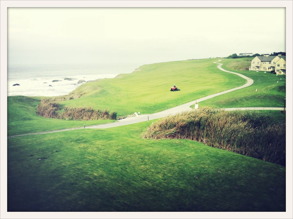 Insights Gleaned from the Amish Lifestyle